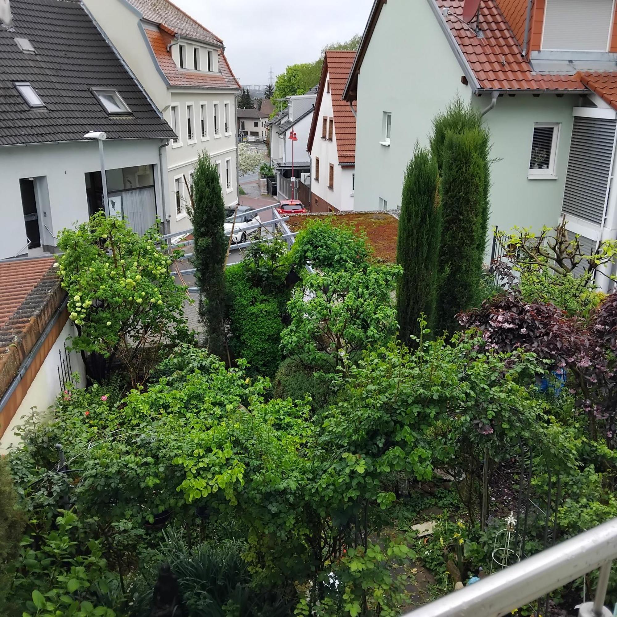 Appartement Residenz Am Berg à Leimen  Extérieur photo